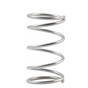 Allen 2 LARGE Stainless Steel SPRING
