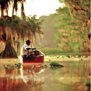 Minn Kota Endura C2 Electric Outboard 