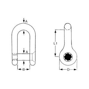 Force 4 Allen Key Stainless Steel Dee Shackle
