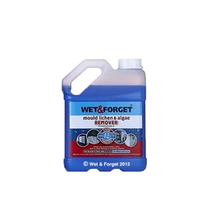 Wet & Forget Wet and Forget - Mould & Algae Remover
