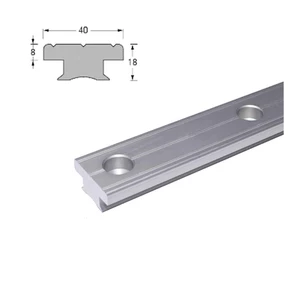 Antal T-Track 40x8 (Silver) 100mm centres