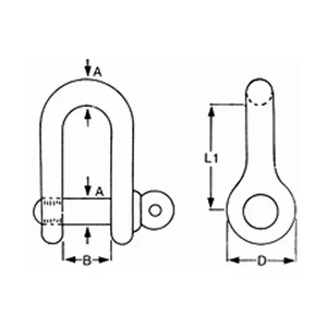 Force 4 Stainless Steel D Shackle - 1 Pack