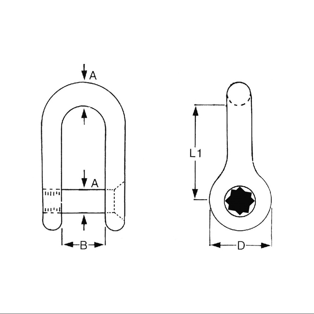 8mm Allen Key Stainless Steel Dee Shackle
