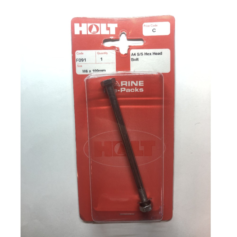 A4 Stainless Steel Hex Head Bolt M6x100