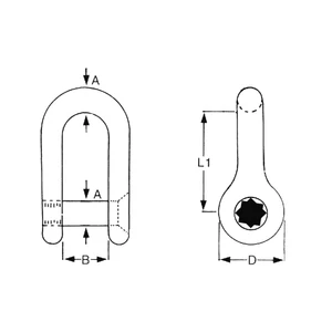Force 4 Allen Key Stainless Steel Dee Shackle
