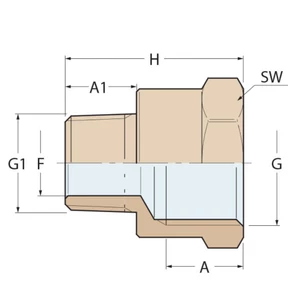 Guidi Bronze Reducing Nipple F-M