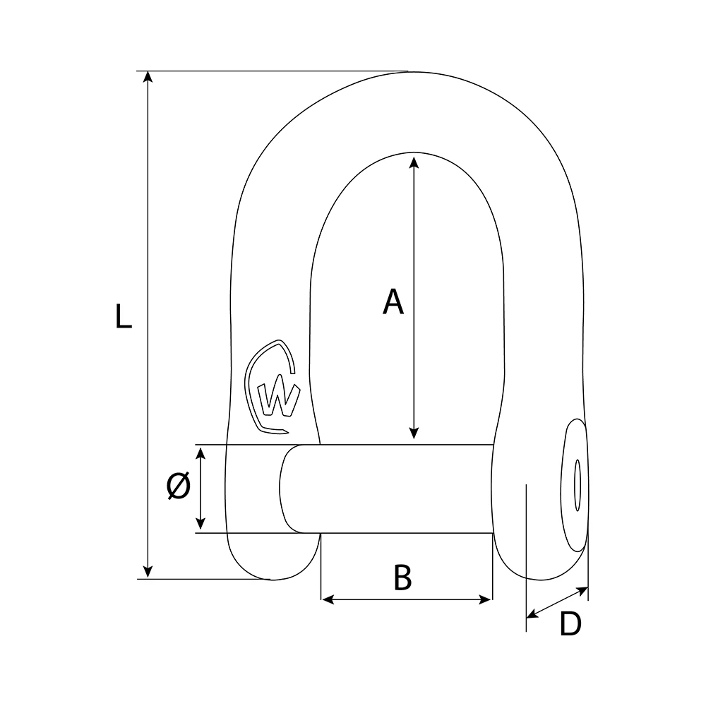 Stainless Steel Allen Key D Shackle