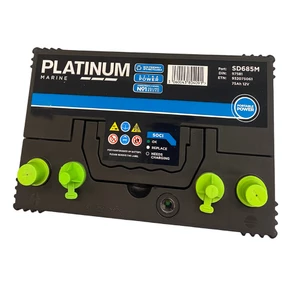 Platinum Batteries Sealed Battery (Dual Post) 