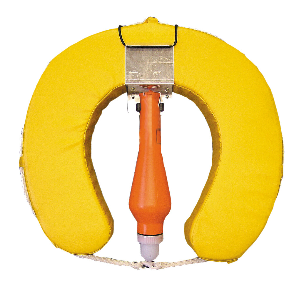 Horseshoe Set With Flashing Light