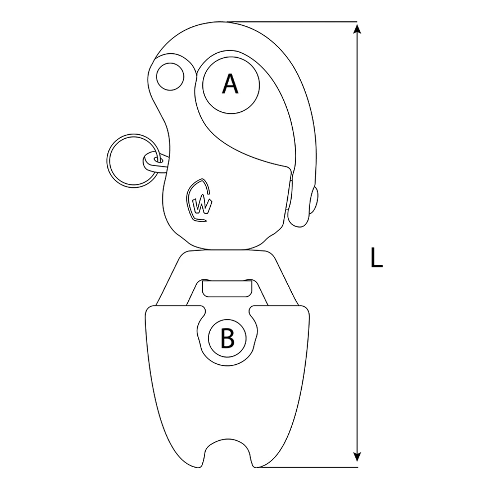 Snap Shackle and Thimble