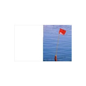 Inshore Danbuoy