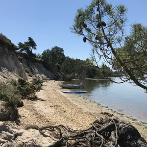 Windward Paddle Board Bundle