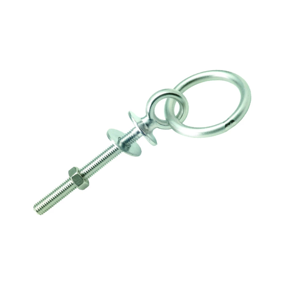 Stainless Steel Ring Bolt