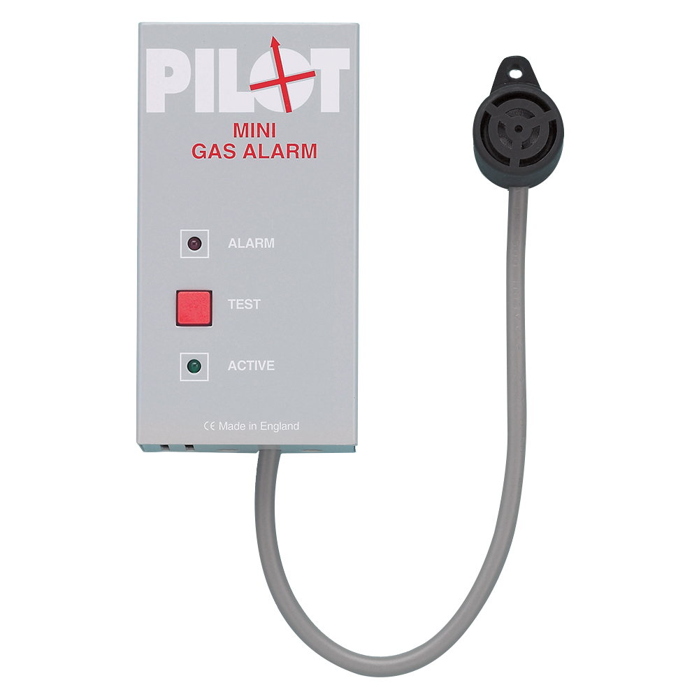 Single Sensor Gas Alarm 12V