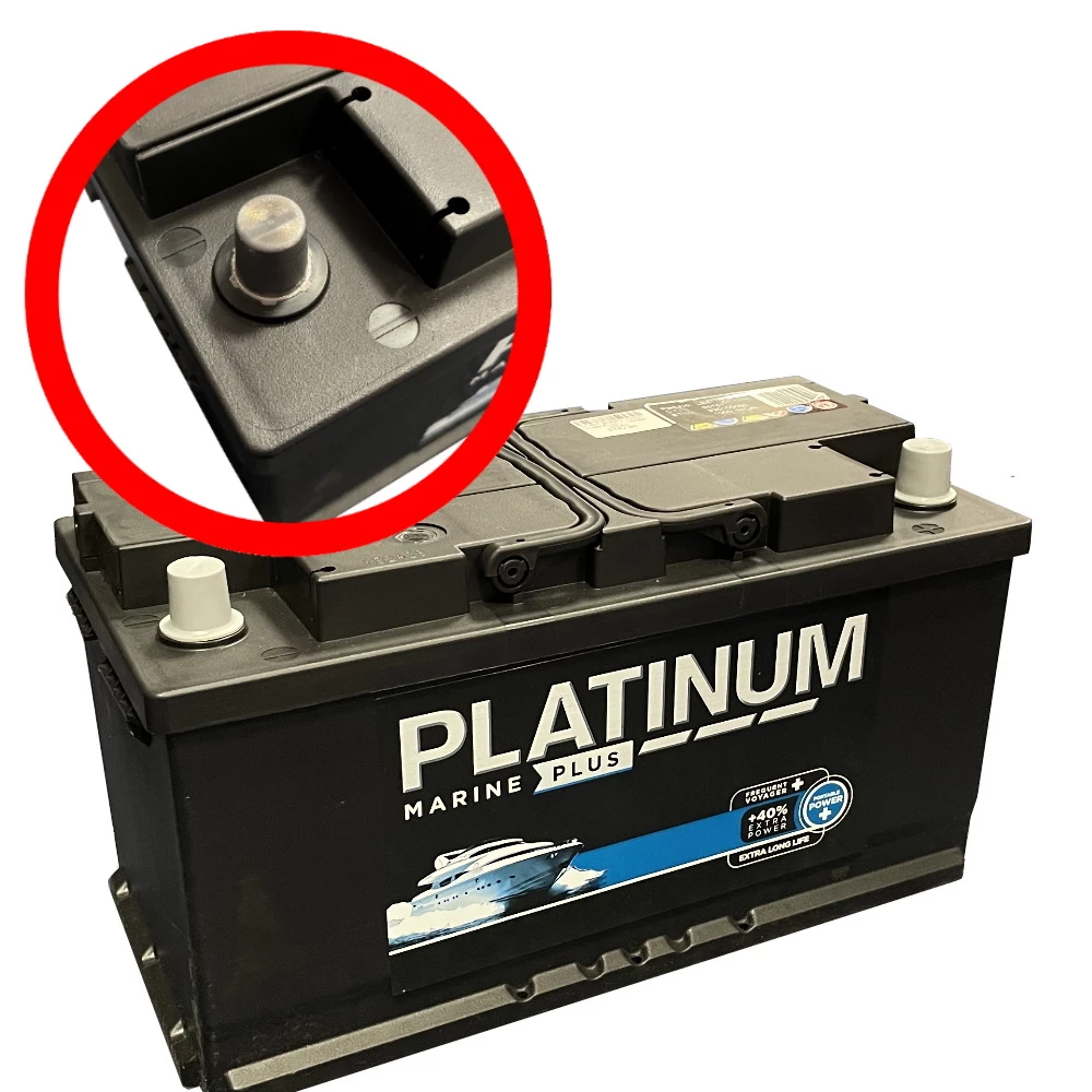 Platinum Batteries Sealed Battery (Single Post)