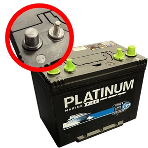 Platinum Batteries Sealed Battery (Dual Post) 