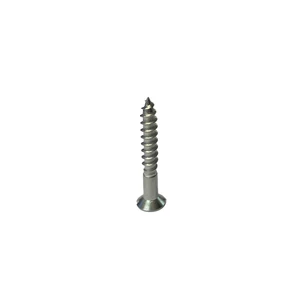 Holt Stainless Steel Countersunk Woodscrew