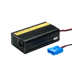 Rebelcell 12.6V10A Charger for Outdoorboxes - 12V 10A 