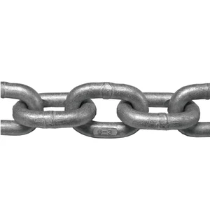 Seago Calibrated Chain 10mm DIN (Per Metre) 