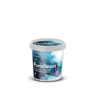 Clean Tabs Puriclean Water System Cleaner 100g 
