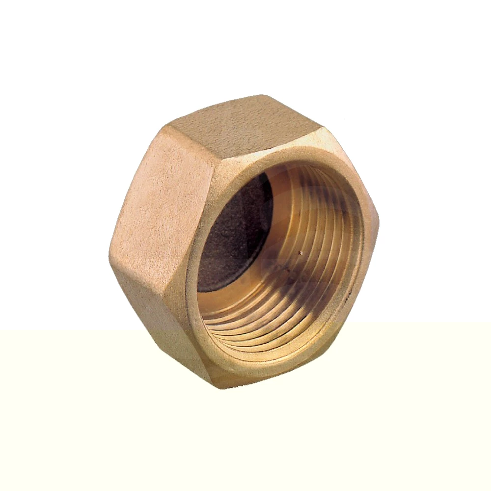 Guidi Female Brass Blanking Cap 3/4