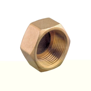 Guidi Female Brass Blanking Cap 3/4