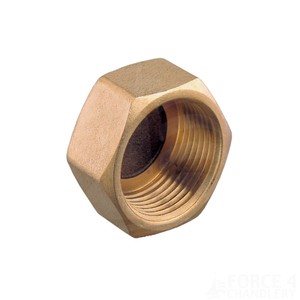 Female Brass Blanking Cap 1.25
