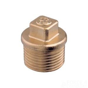 Male Brass Blanking Plug 1/4