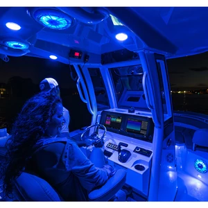 Garmin Spectra LED Control Module 