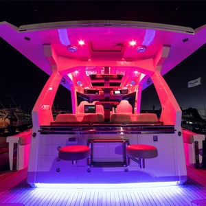 Garmin Spectra LED Control Module 