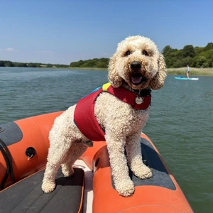 Spinlock Fido Floatation Vest for Dogs 