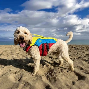 Spinlock Fido Floatation Vest for Dogs 
