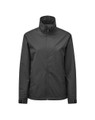  Women's Team Lite Jacket