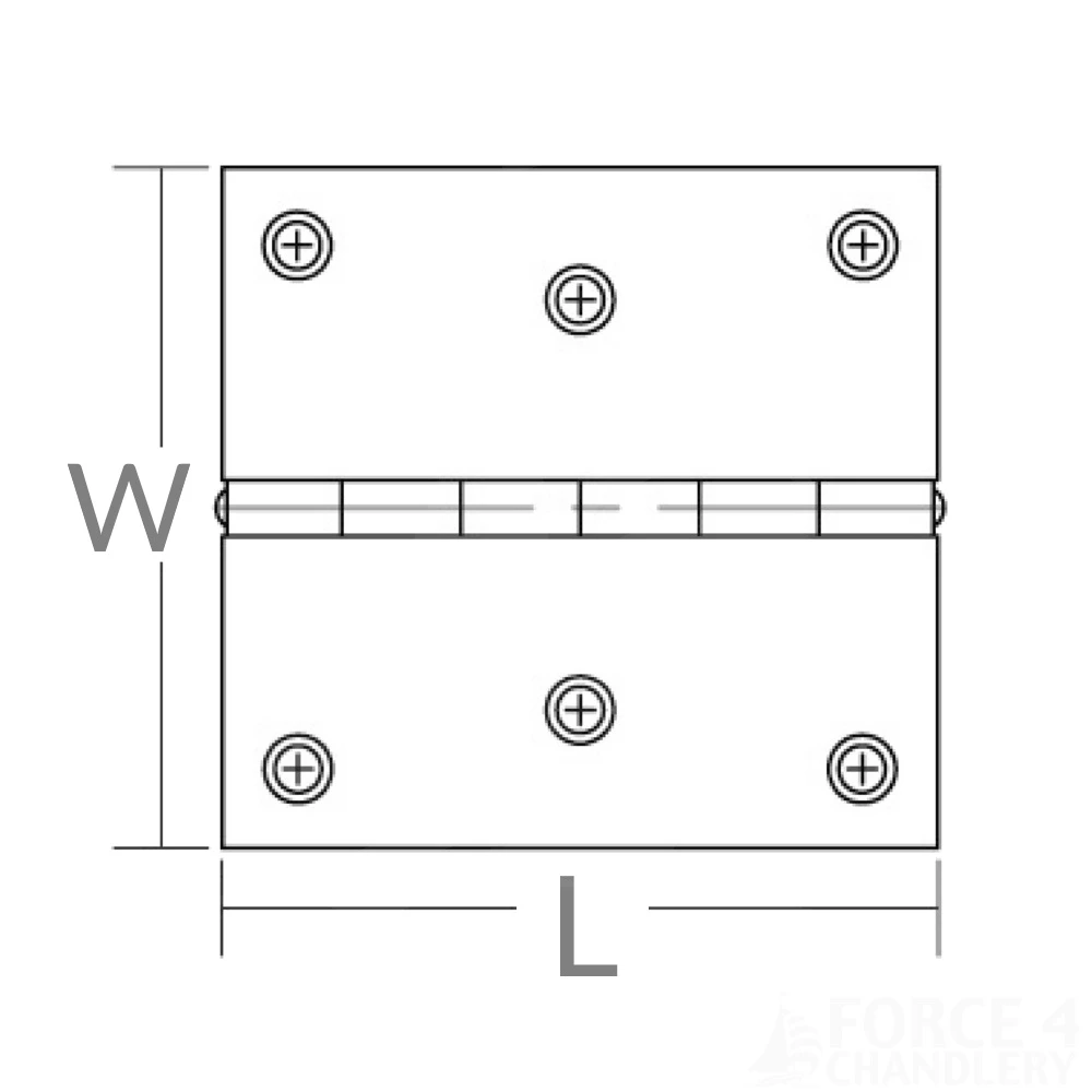 Polished Stainless Steel Hinges