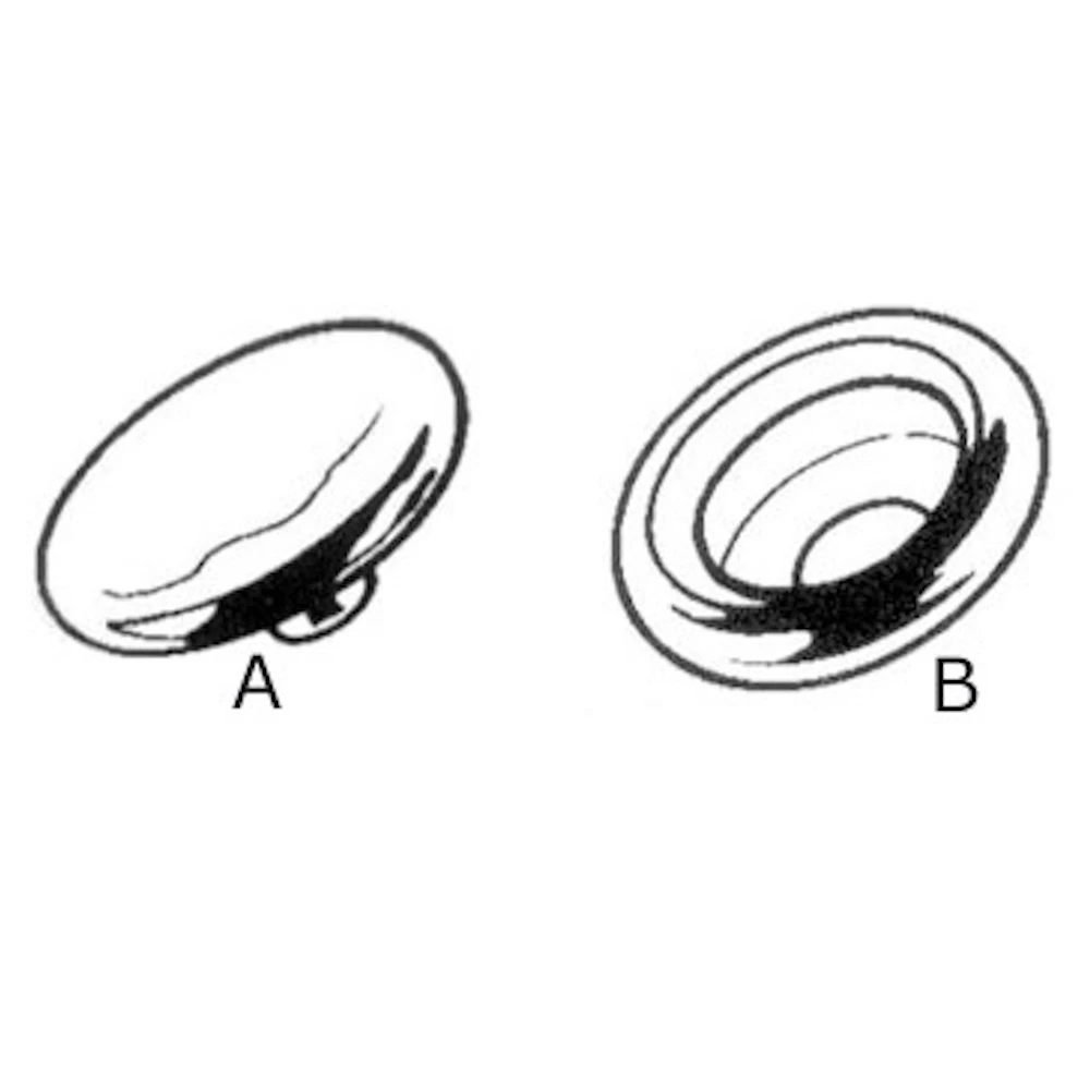 Female Stainless Steel Press Stud Head (Each)