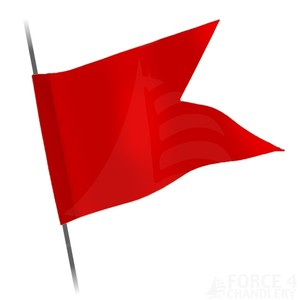 Protest Flag 