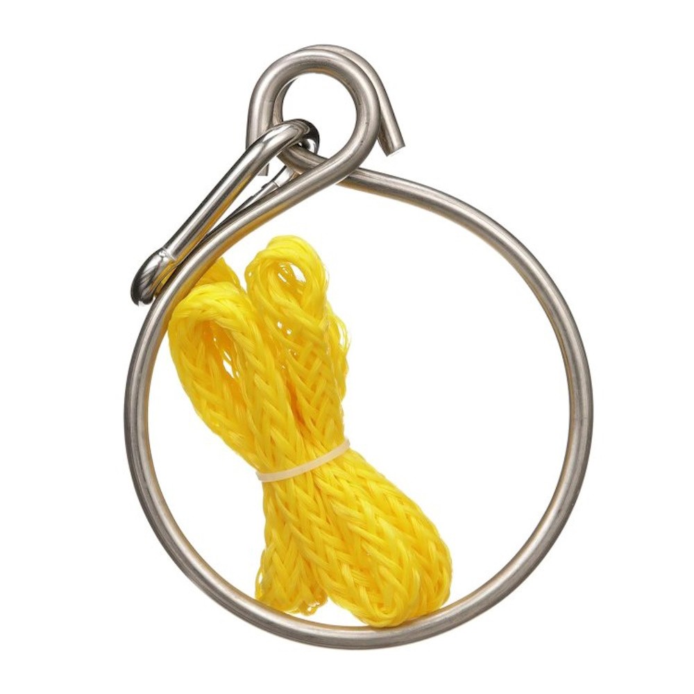 Anchor Ring, Rope & Carbine Hook