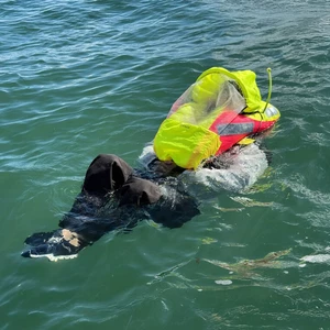 Spinlock Deckvest Vito AFS Hammar 170N Life Jacket 