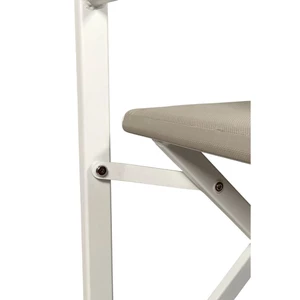 Trem Folding Directors Chair