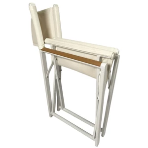 Trem Folding Directors Chair